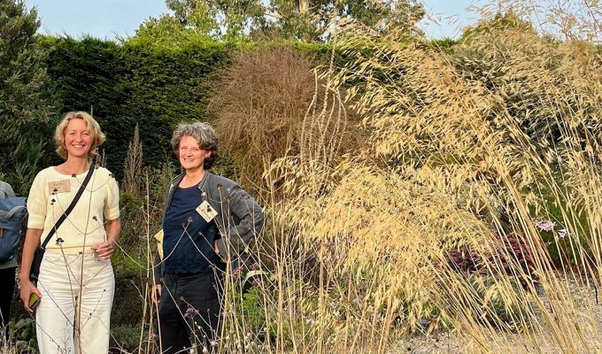 Beth Chatto Gravel Garden Symposium Rewilding The Mind 2022